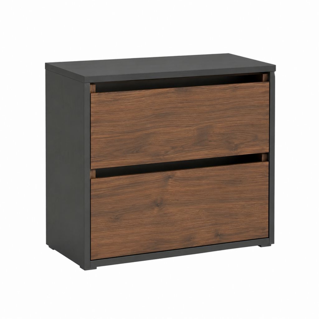 Schuhschrank mit 2 Klappen Schwarz Walnussoptik MDF 80 x 30 x 80 cm